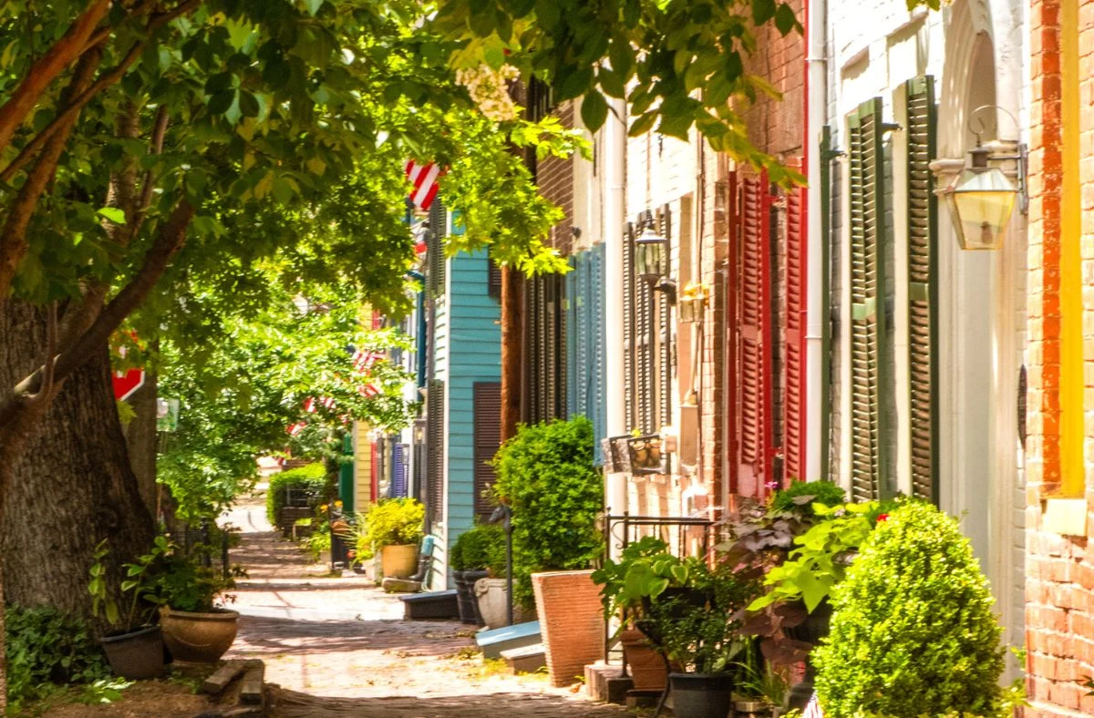 Therapy in Alexandria and Northern Virginia for children, teens, adults, and families seeking ADHD, anxiety, mood disorder, autism, and executive function support